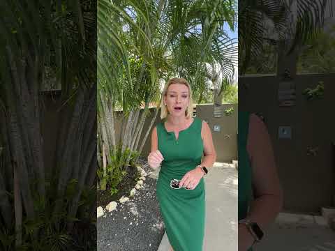 Costa Rica Luxury Oceanview Home Tour | 4 Homes in One