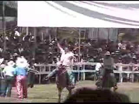 Parrita Mule Festival, Costa Rica