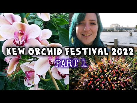 Part 1 – Kew Gardens Orchid Festival 2022 | Costa Rica