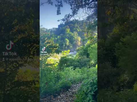 The only nude beach in Costa Rica??? The secluded Playa Macha #travel #costarica #beach