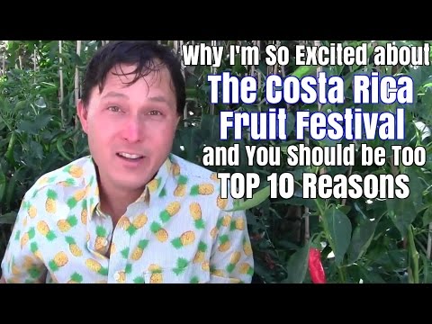 Why I'm So Excited about the Costa Rica Fruit Festival & You Should be Too – 10 Reasons